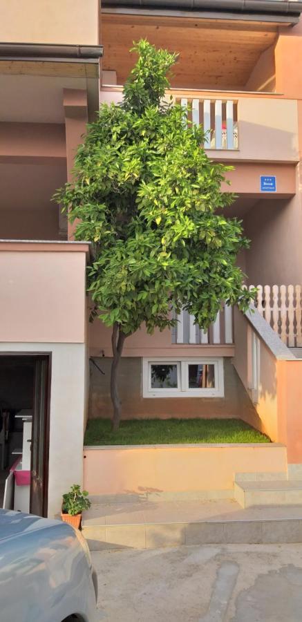 Apartmani Damant Zadar Habitación foto